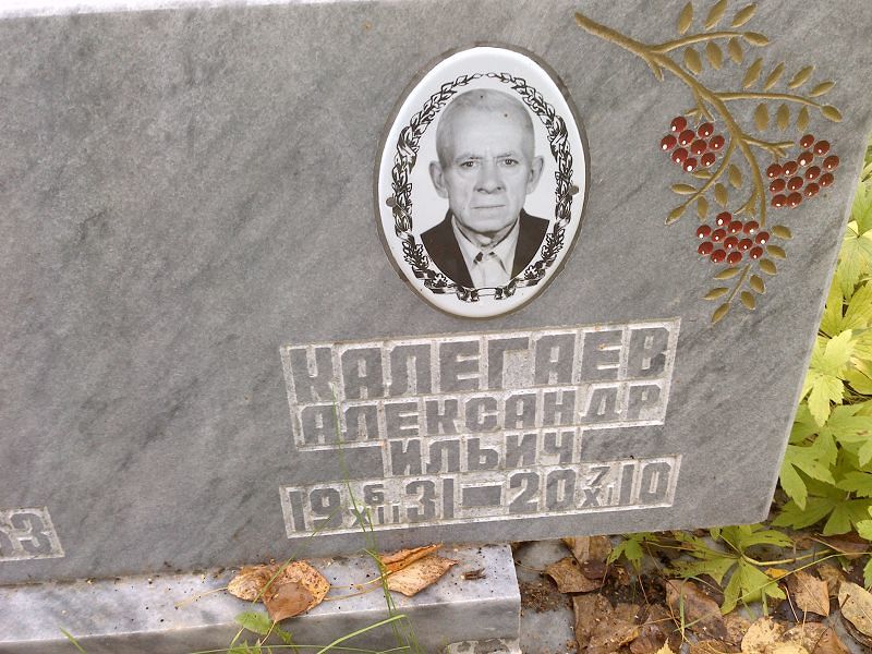 Калегаев Александр Ильич