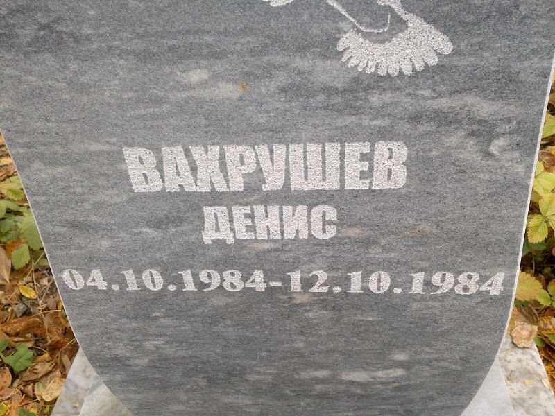Вахрушев Денис