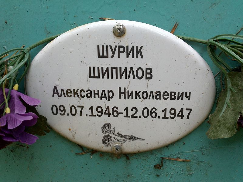Шипилов Александр Николаевич