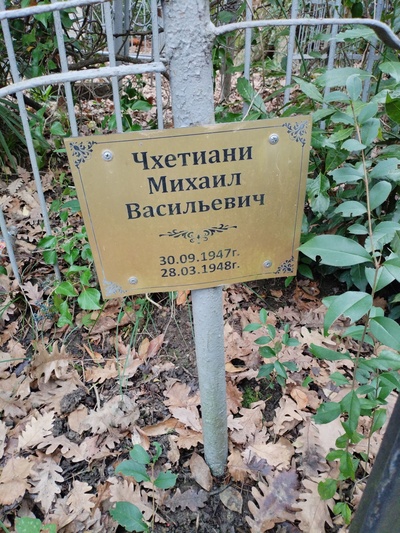 Чхетиани Михаил Васильевич