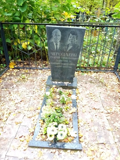 Чегодаев Георгий Тимофеевич