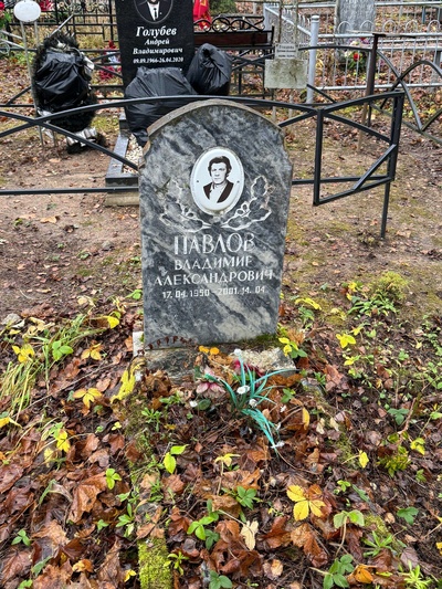 Павлов Владимир Александрович