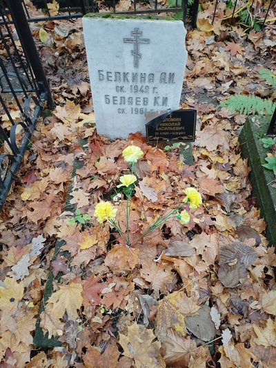 Соломин Николай Васильевич