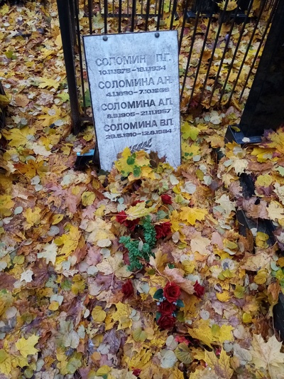 Соломина А Н