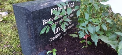 Комчатова Валентина Фёдоровна