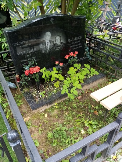 Малышева Анастасия Николаевна