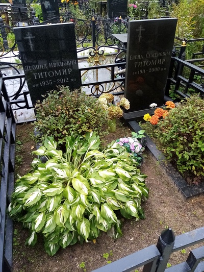 Титомир Елена Семёновна