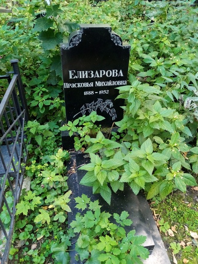 Елизарова Прасковья
