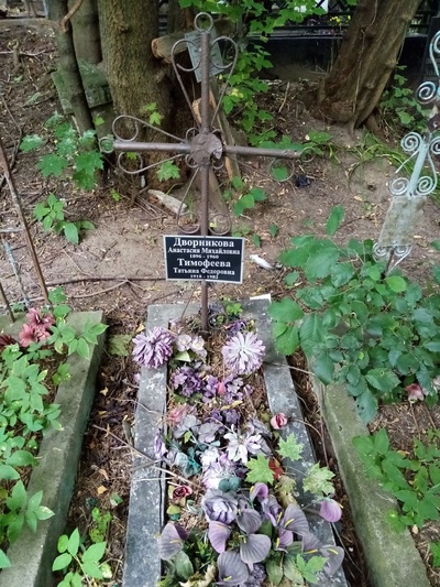 Дворникова Анастасия Михайловна