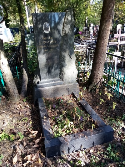 Стародумов Николай Николаевич