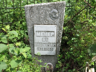 Мейер Лев Владимирович