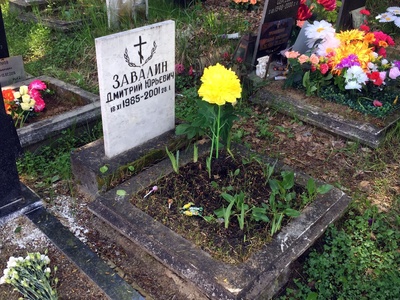 Завалин Дмитрий Юрьевич