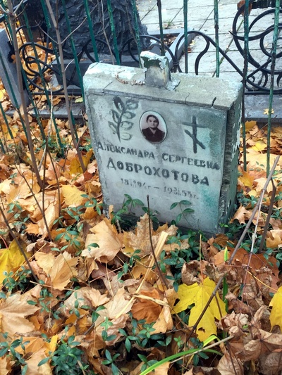 Доброхотова Александра Сергеевна