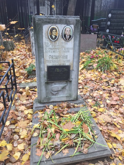Разинкин Василий Ефимович