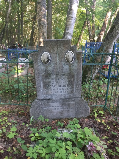 Волосомоев Дмитрий Анисимович
