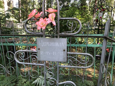 Щербинина Наталья Андреевна