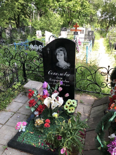 Соколова Анна Владимировна