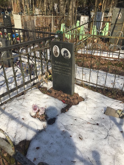 Аникина Вера Александровна