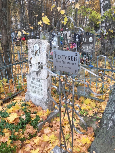 Голубев Николай Яковлевич