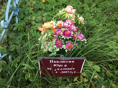 Павлютин Юрий Михайлович