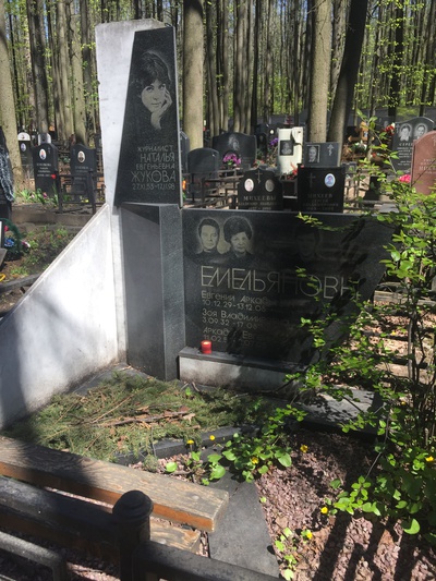 Емельянов Аркадий Евгеньевич