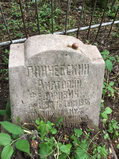 Пинчевский Анатолий Федорович