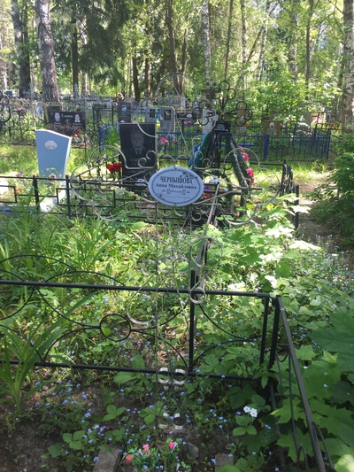 Чернышова Анна Михайловна