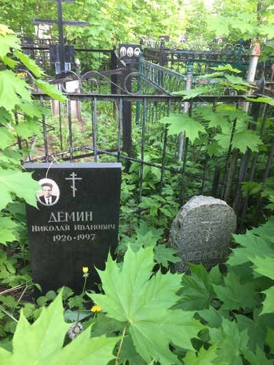 Дёмин Николай Иванович