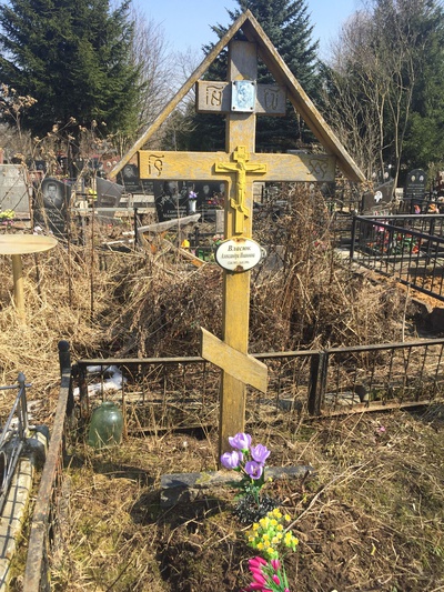 Власюк Александра Ивановна