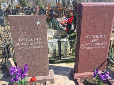 Попович Андрей Иванович