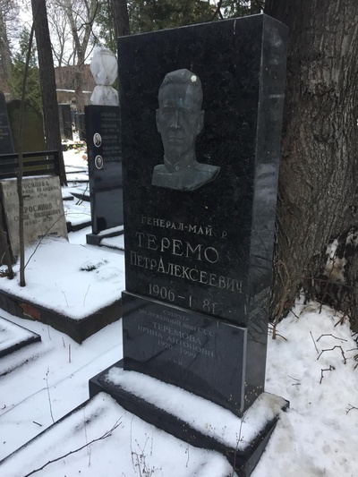 Теремова Ирина Антоновна