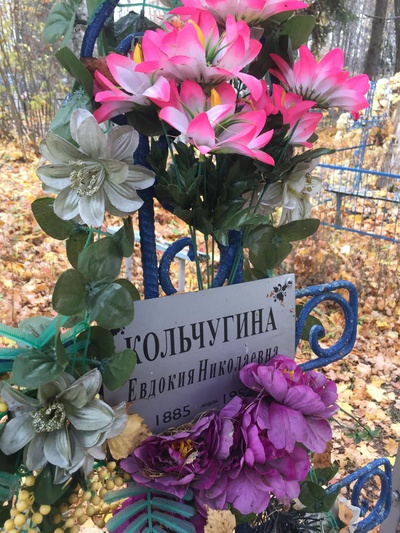 Кольчугина Евдокия Николаевна