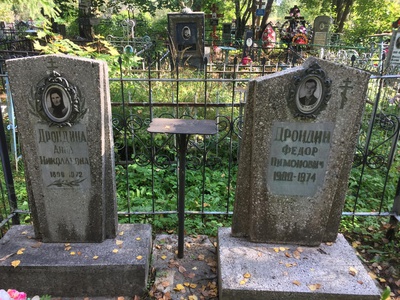 Дрондина Анна Николаевна