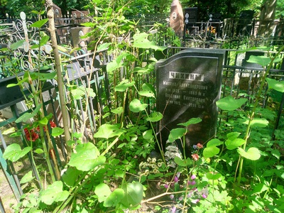 Чикина Алевтина Викторовна
