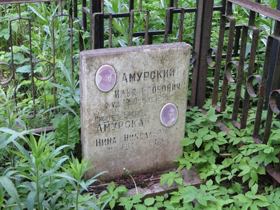 Амурская Нина Николаевна