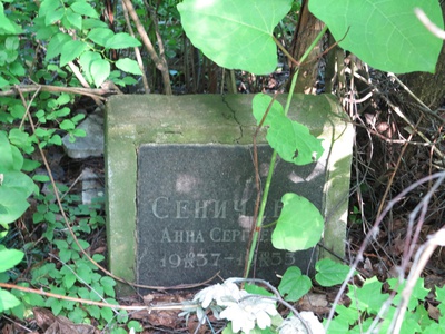 Сеничева Анна Сергеевна