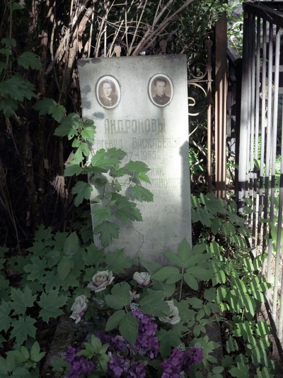 Андронова Евгения Васильевна