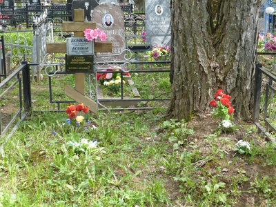 Гунин Владимир Александрович