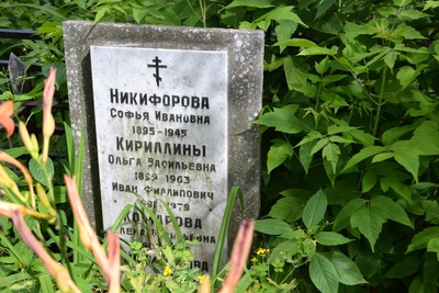 Комарова Елена