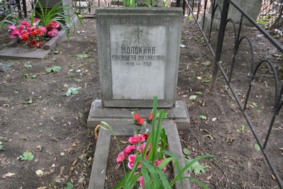 Молокина Елизавета Михайловна