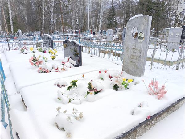 Школин Алексей Степанович