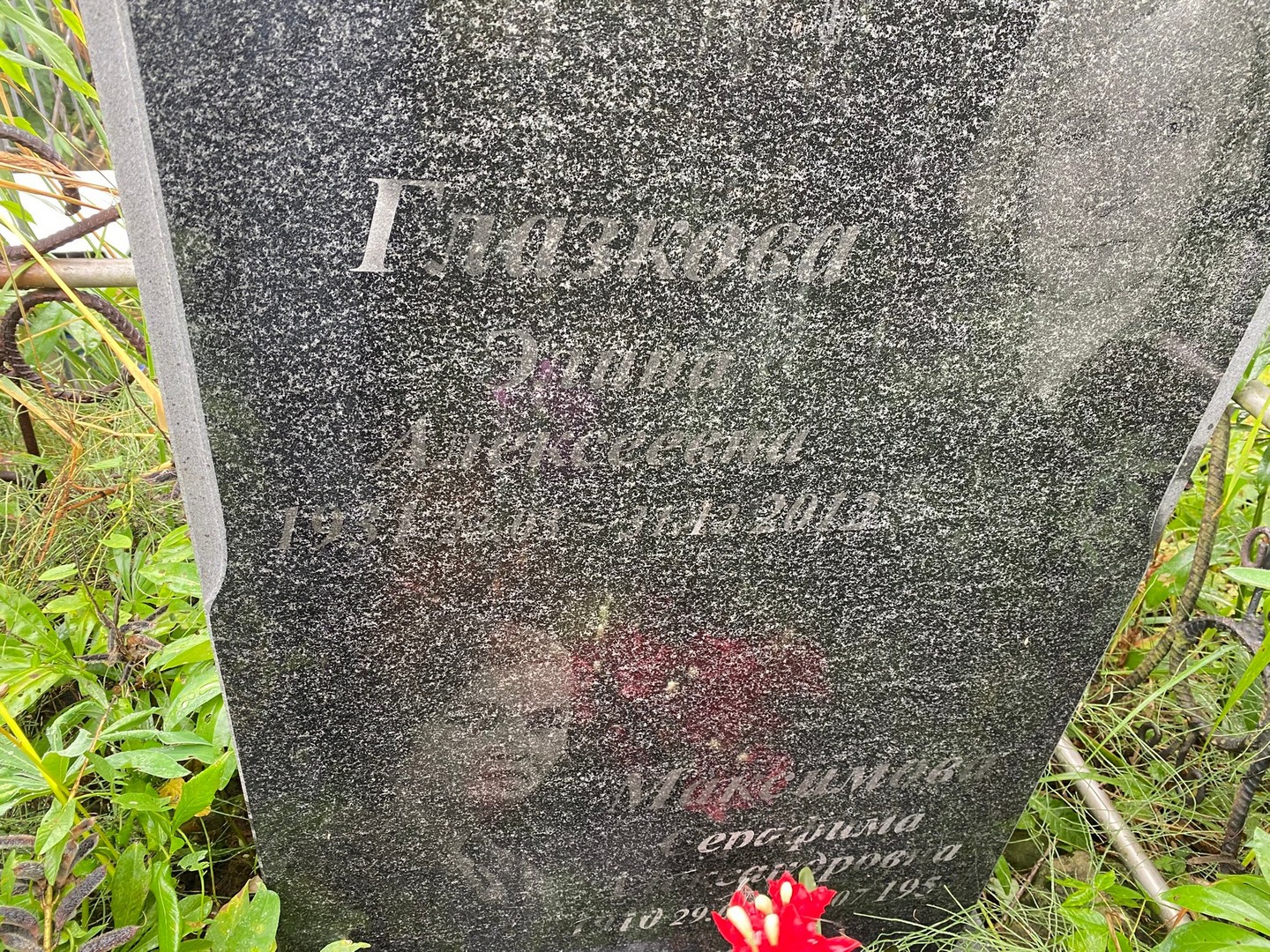 Элина Глазкова Алексеевна