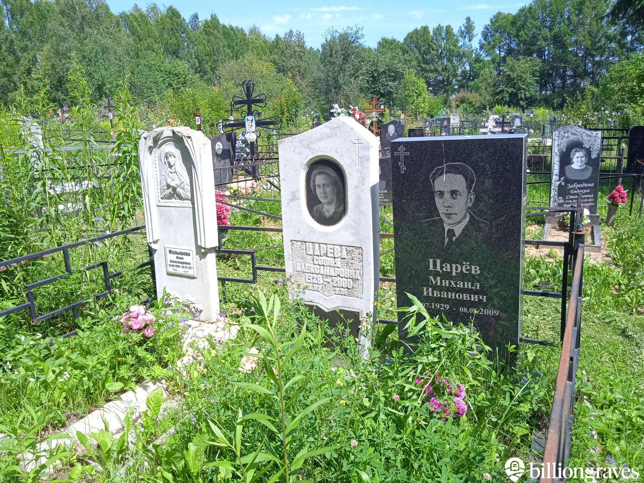 Царева Софья Александровна