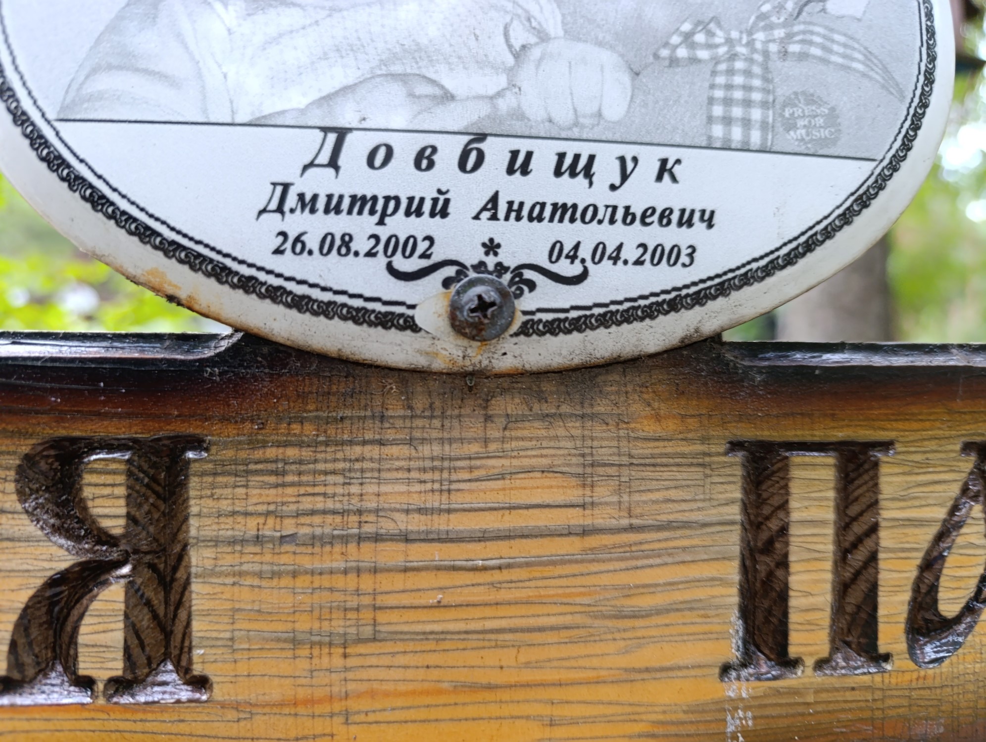 Довбищук Дмитрий Анатольевич