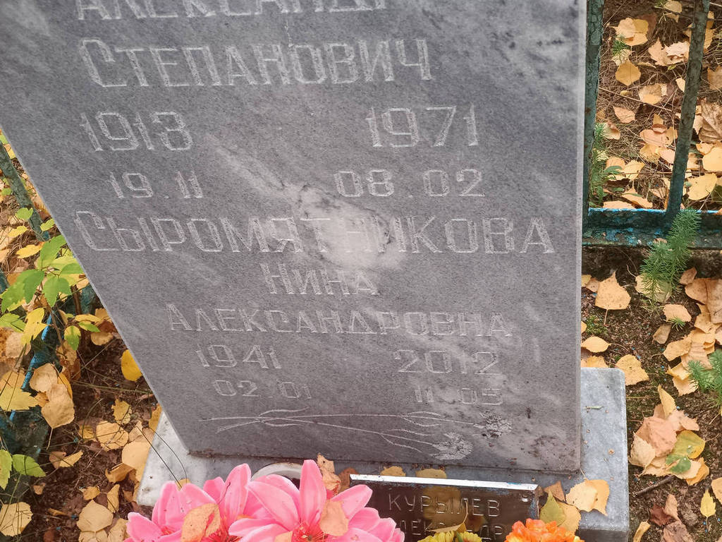 Сыромятникова Нина Александровна
