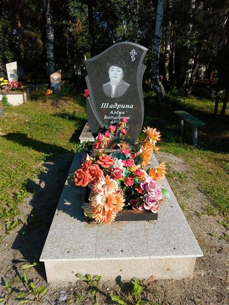 Шадрина Алена Борисовна