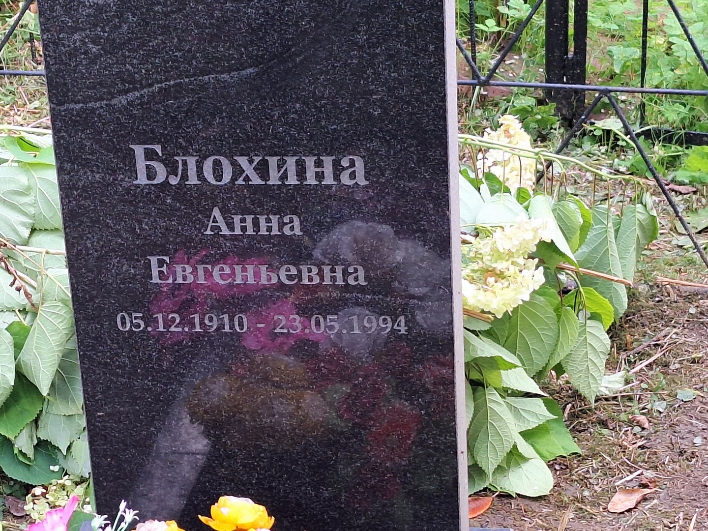 Блохина