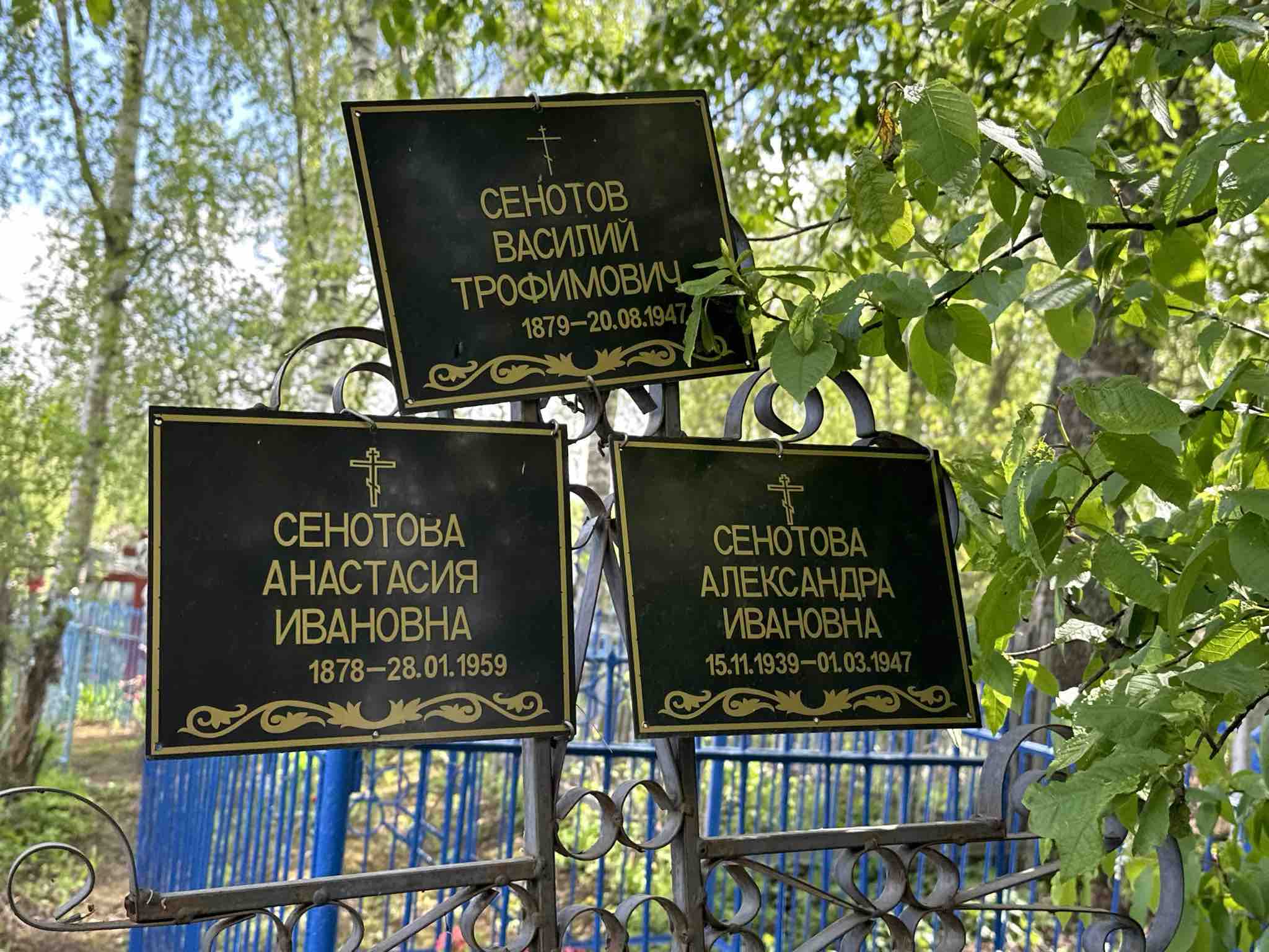 Сенотова Александра Ивановна
