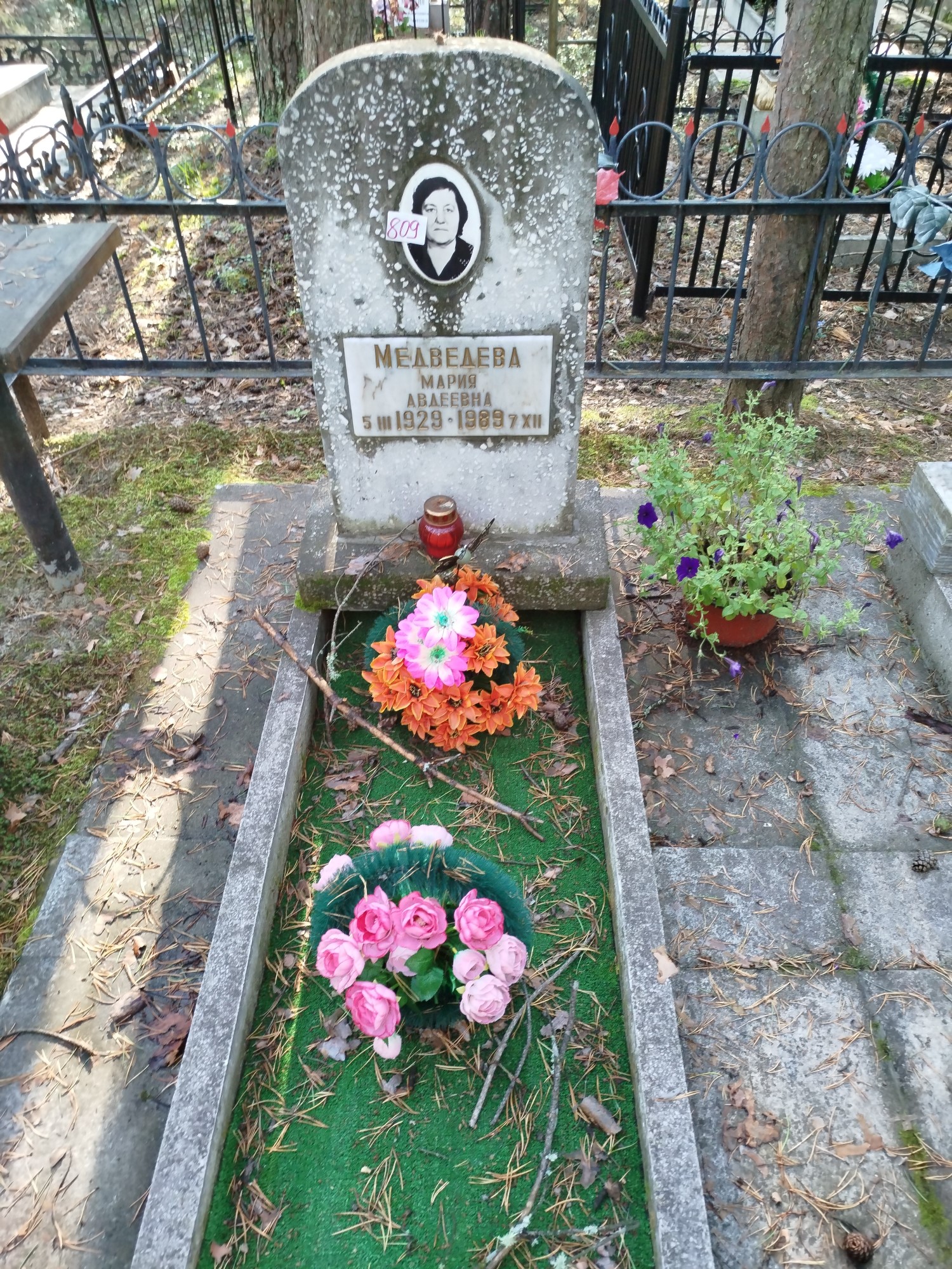 Медведева Мария Авдеевна
