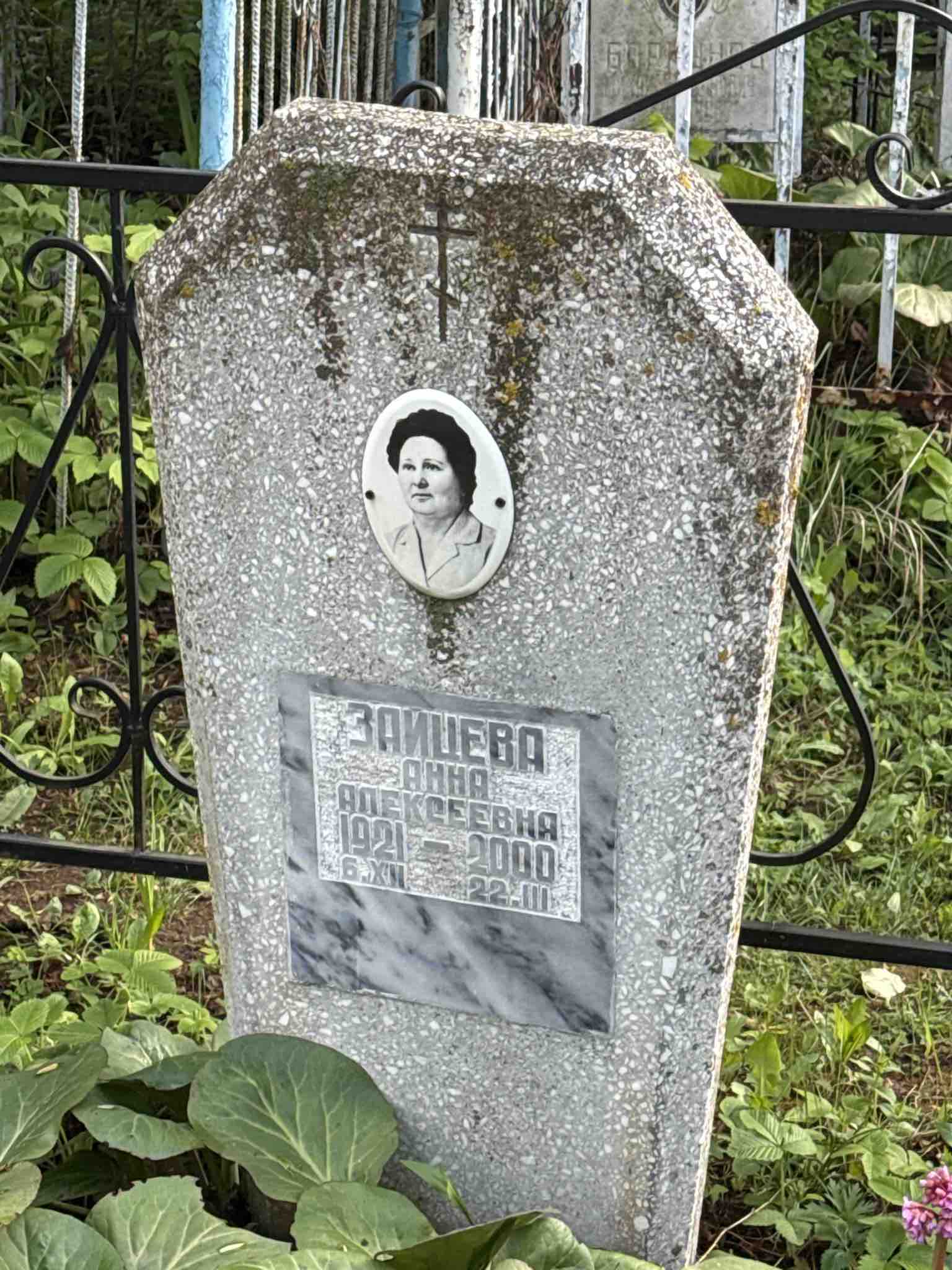 Зайцева Анна Алексеевна